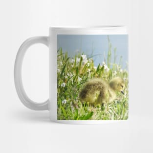 Baby gosling, Canadian Geese, wildlife gifts Mug